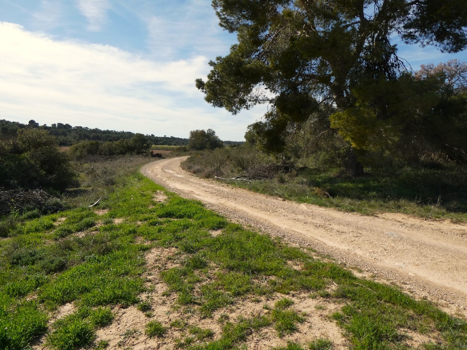  te koop boerderij Mequinenza Bajo Cinca 15