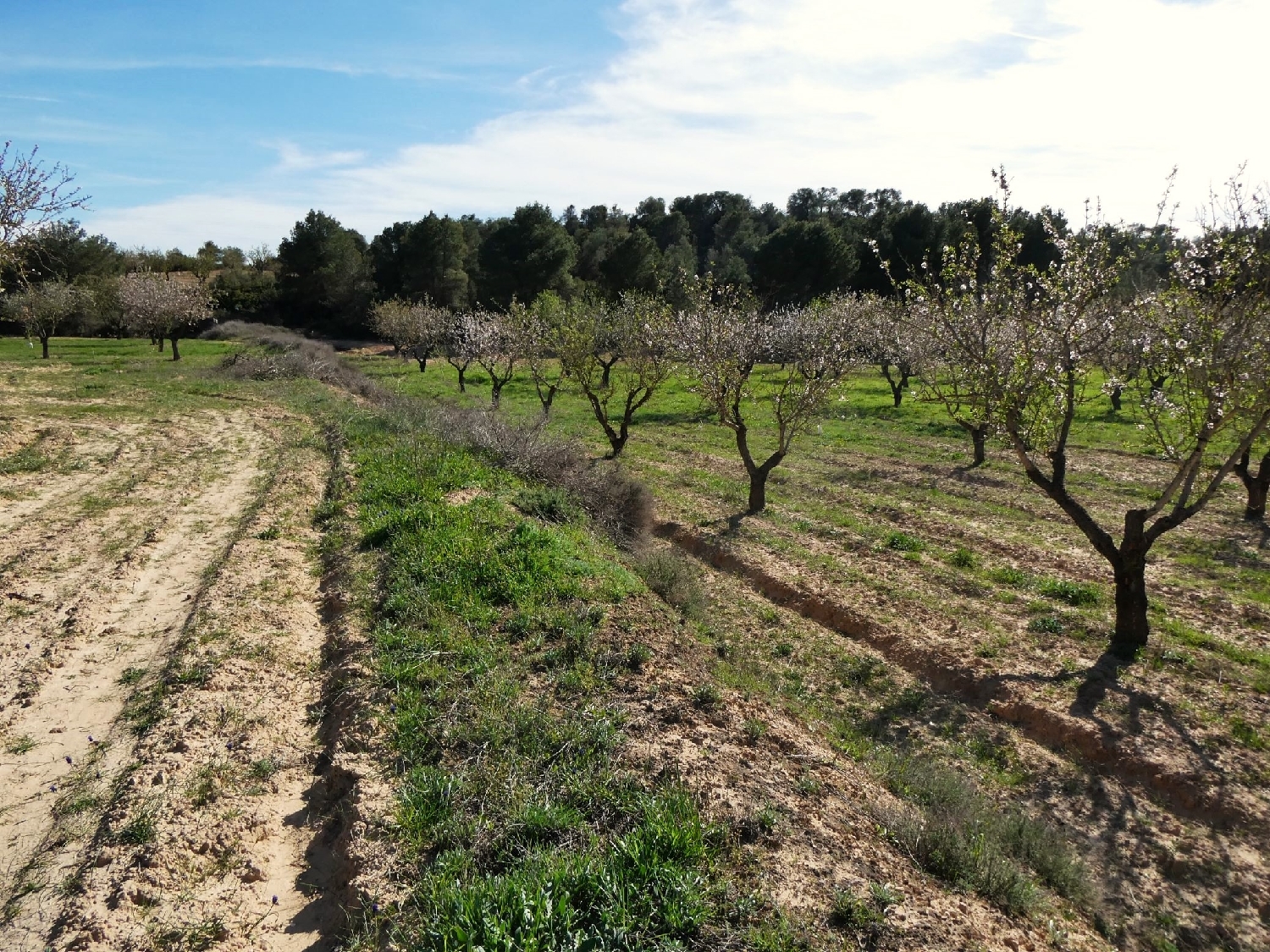  te koop boerderij Mequinenza Bajo Cinca 14