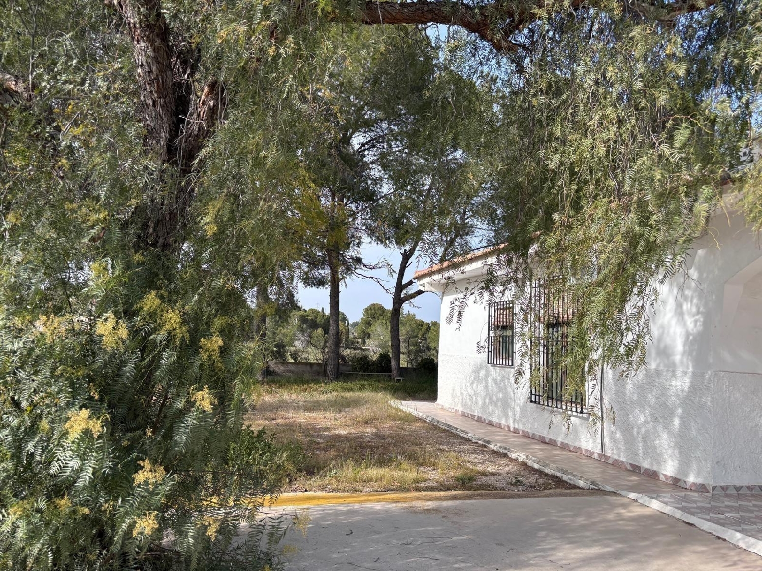  till salu hus på landet Molina De Segura Vega Media Del Segura 3