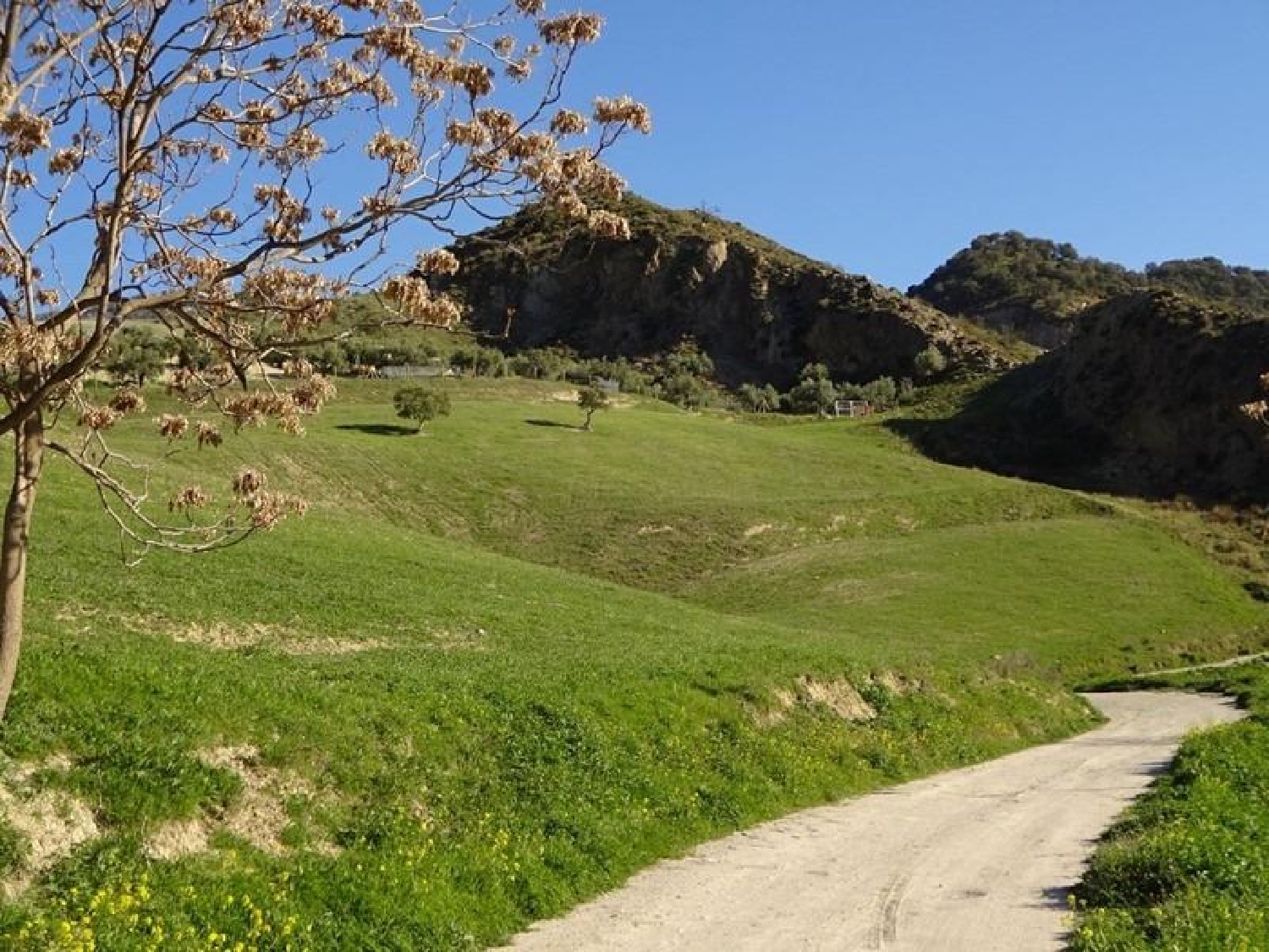  till salu hus på landet Monachil Vega De Granada 3