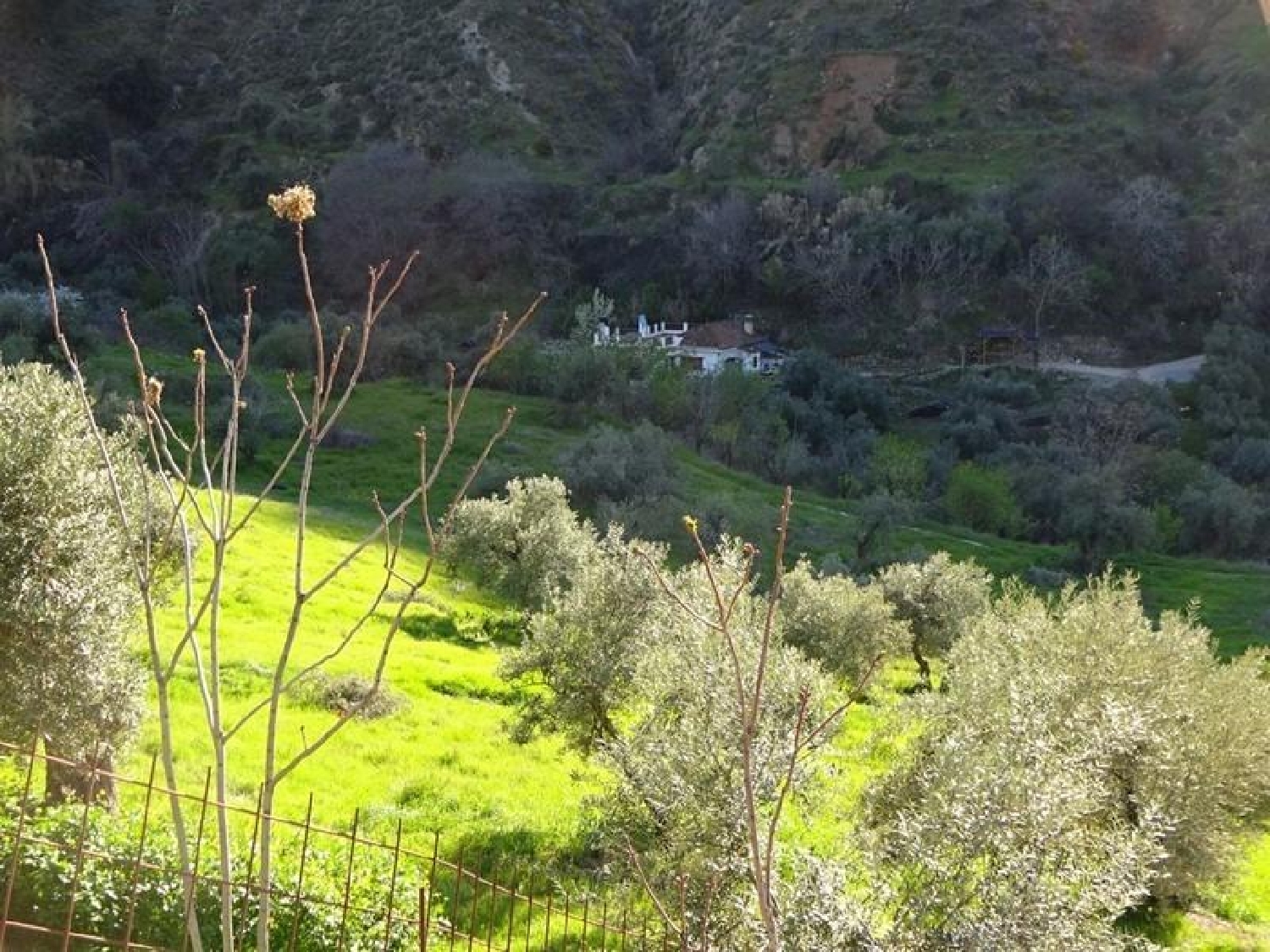  till salu hus på landet Monachil Vega De Granada 5