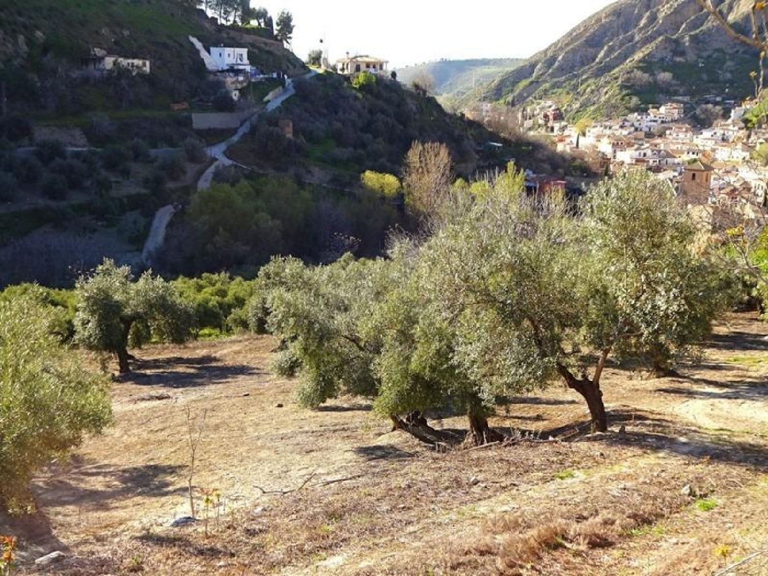  till salu hus på landet Monachil Vega De Granada 6