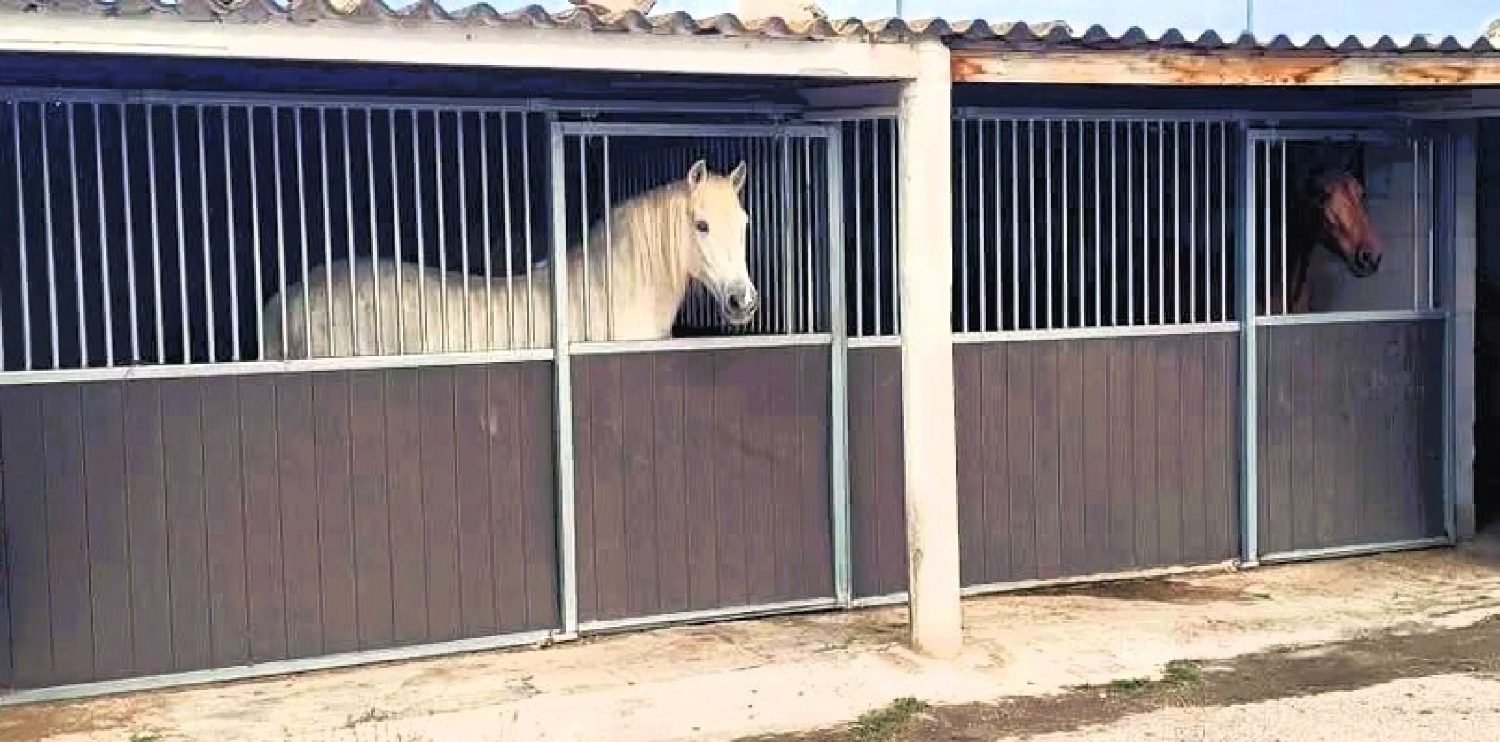  te koop boerderij Monóvar Vinalopó Mitjà 25