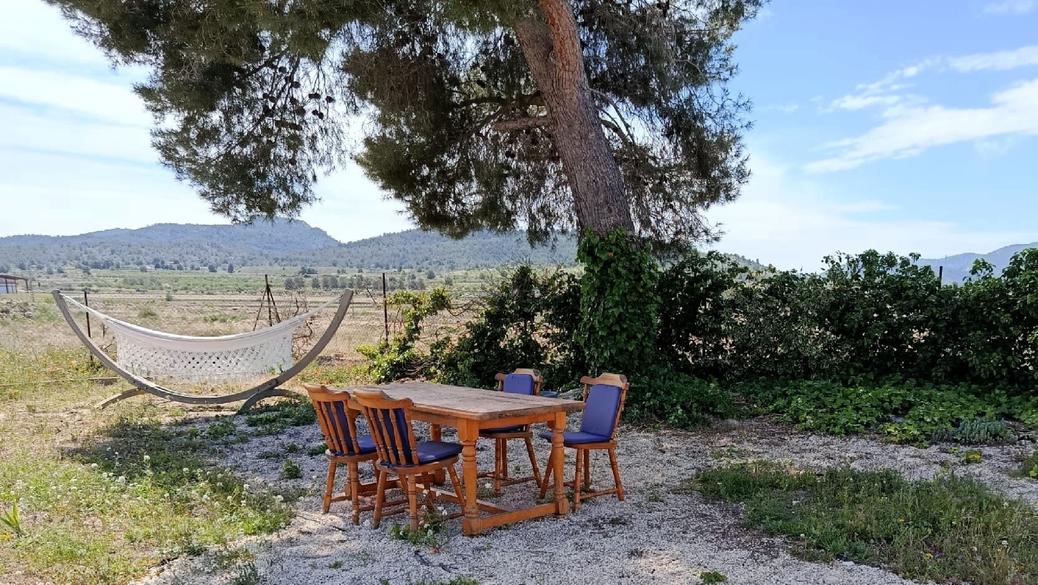  te koop boerderij Monóvar Vinalopó Mitjà 30