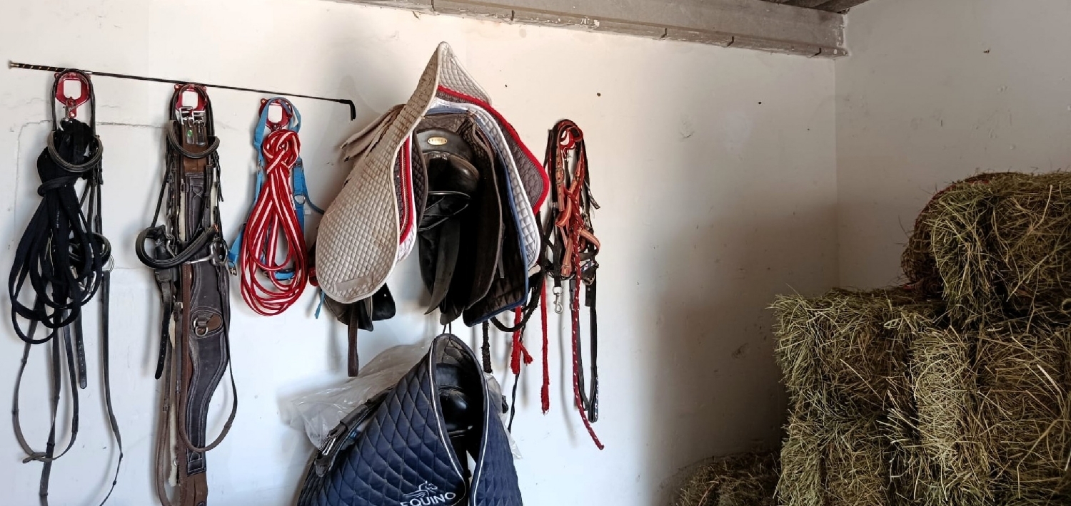  te koop boerderij Monóvar Vinalopó Mitjà 34