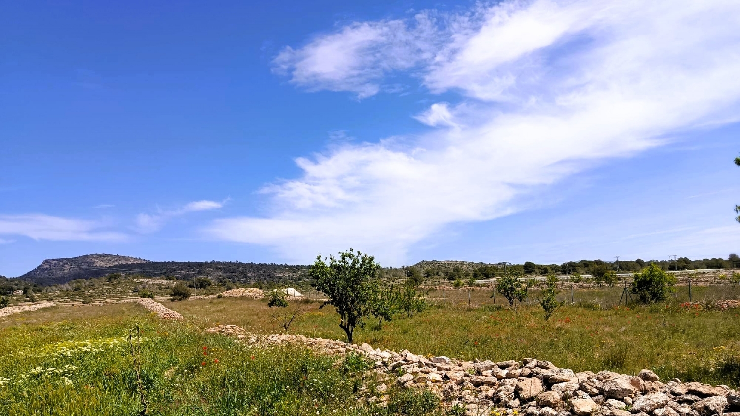  te koop boerderij Monóvar Vinalopó Mitjà 36