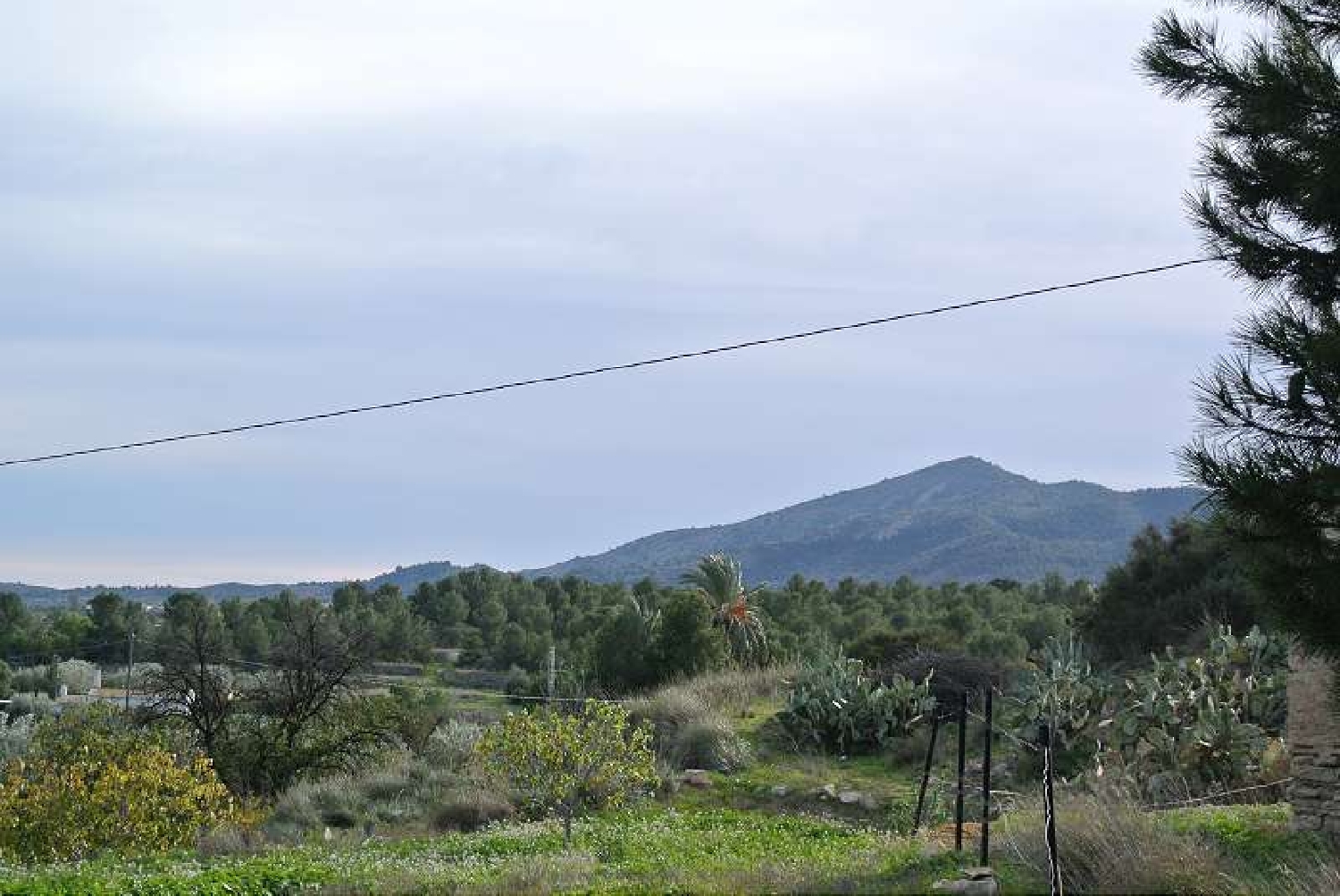  for sale country house Monóvar Vinalopó Mitjà 7