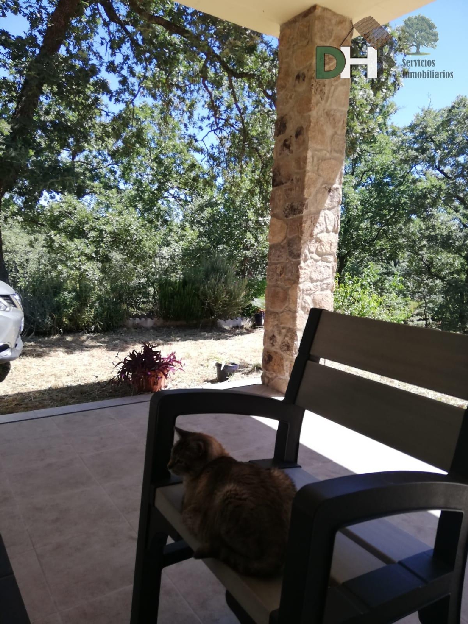  for sale country house Moraleja Sierra De Gata 4