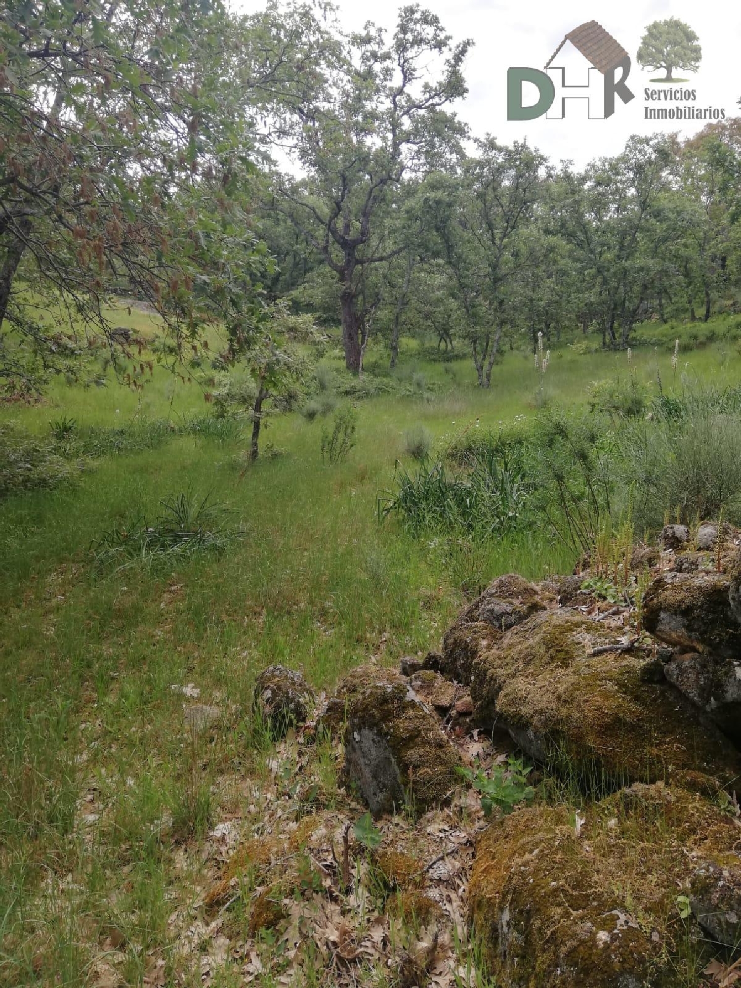  for sale country house Moraleja Sierra De Gata 8