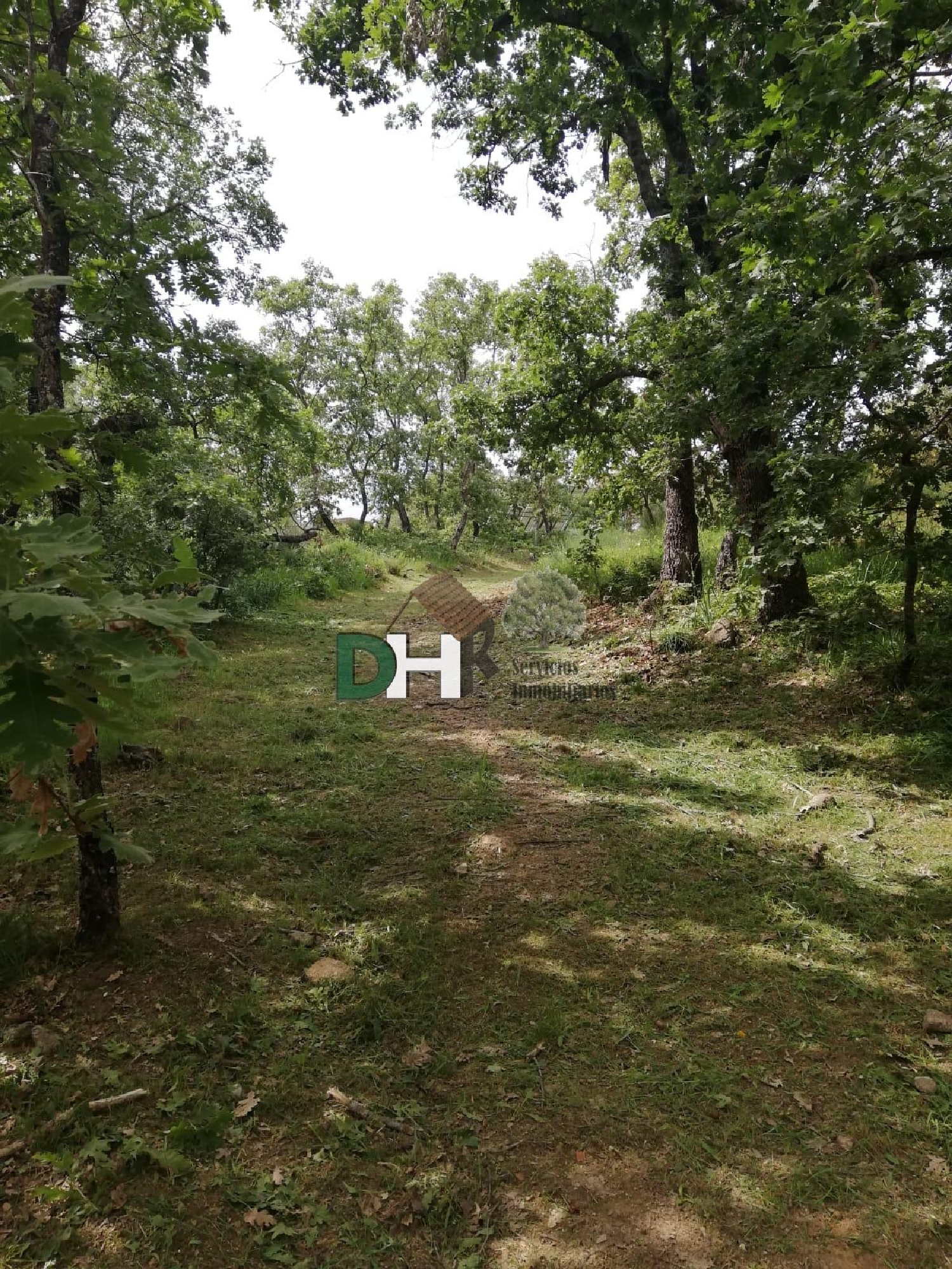  for sale country house Moraleja Sierra De Gata 6