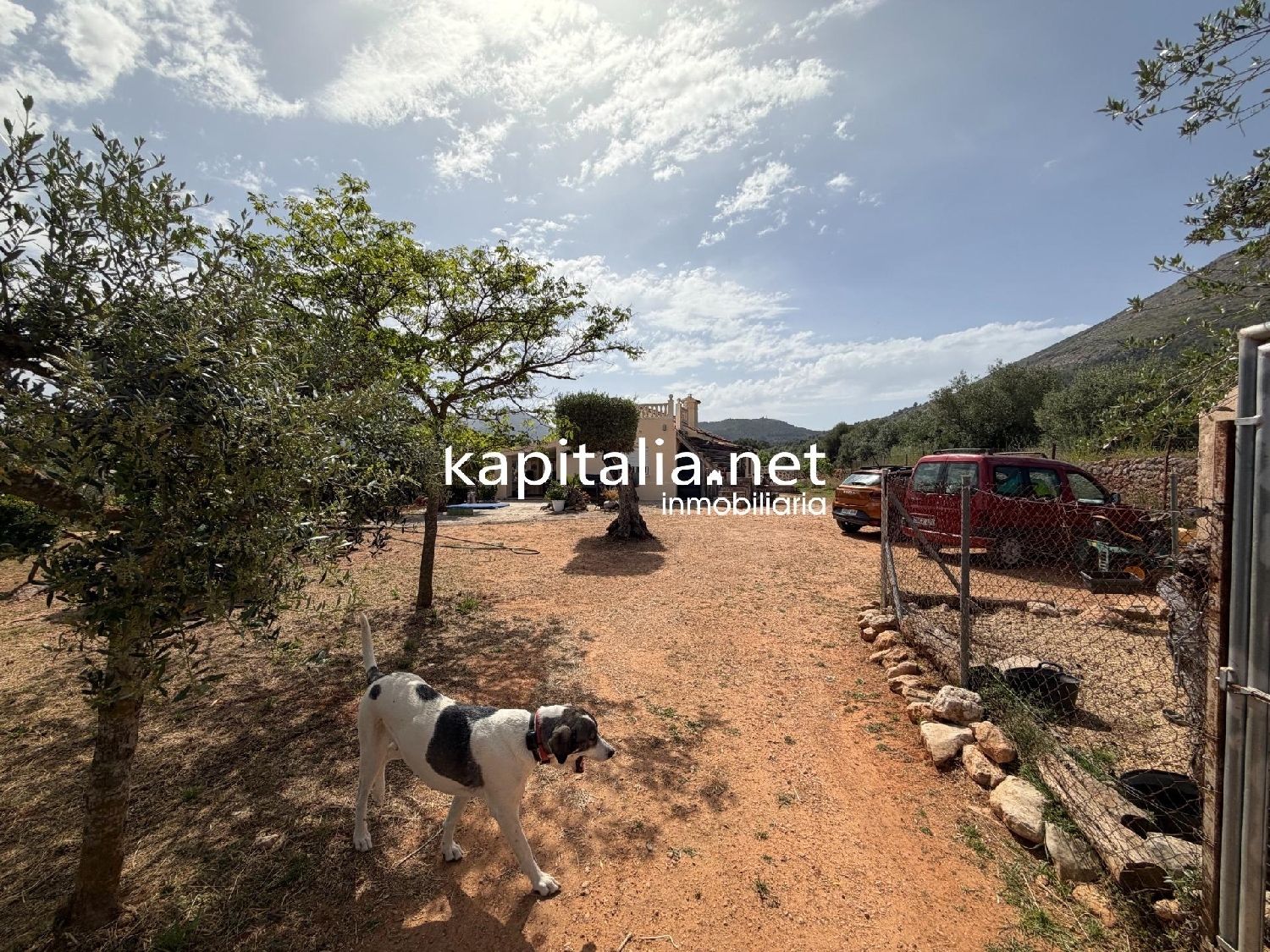  en venta finca rústica Muro De Alcoy Comtat 3