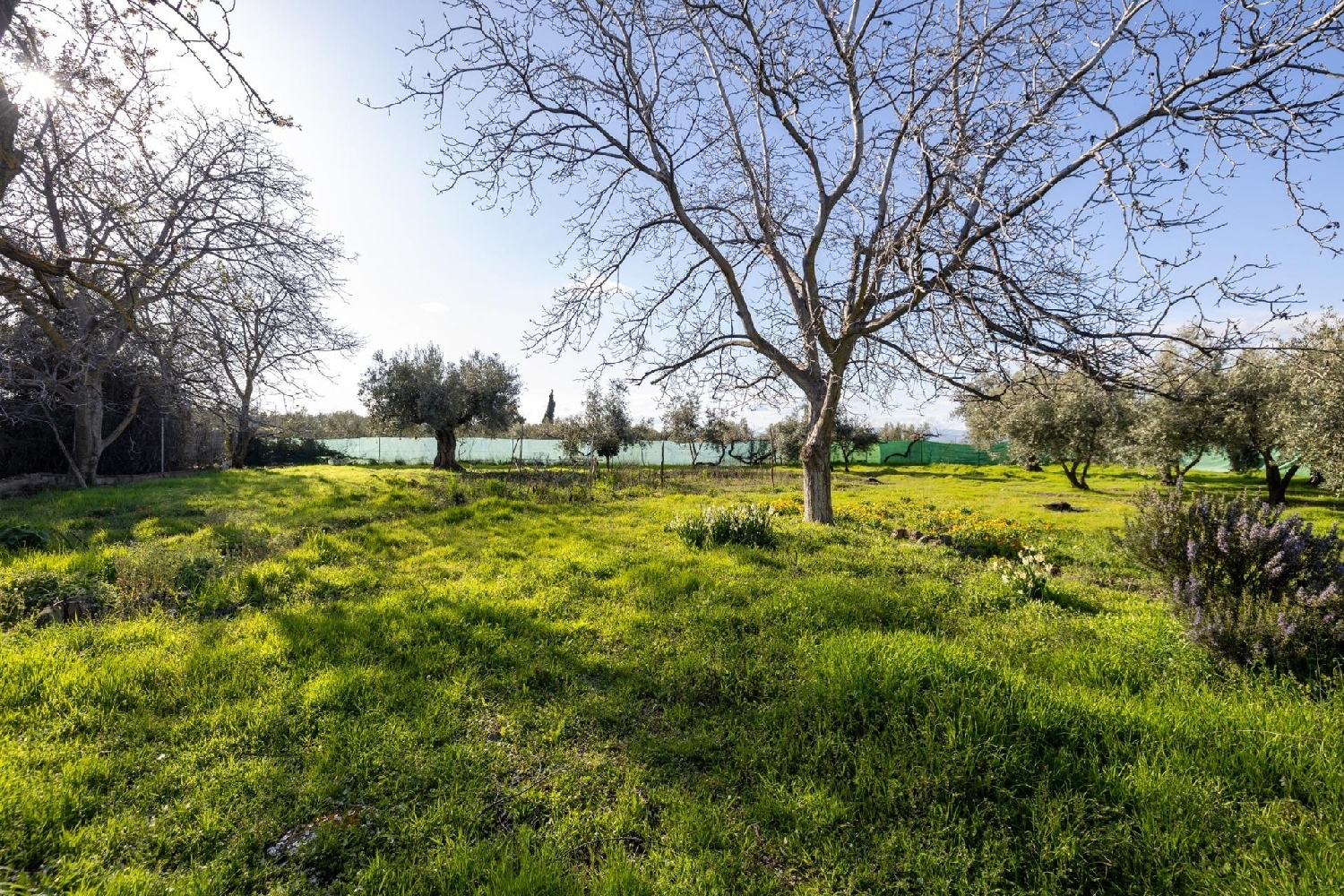  for sale country house Otura Vega De Granada 6