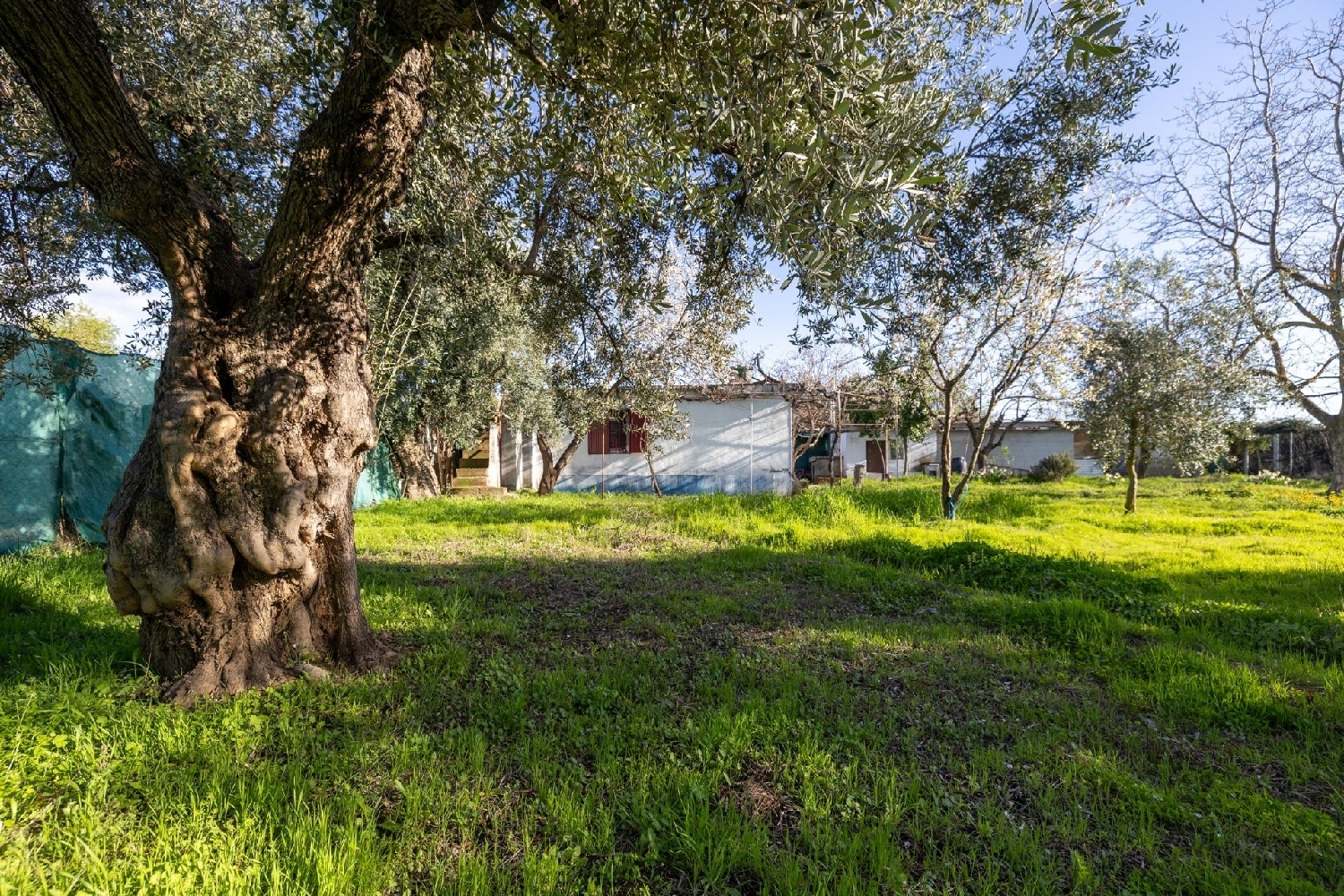  for sale country house Otura Vega De Granada 1