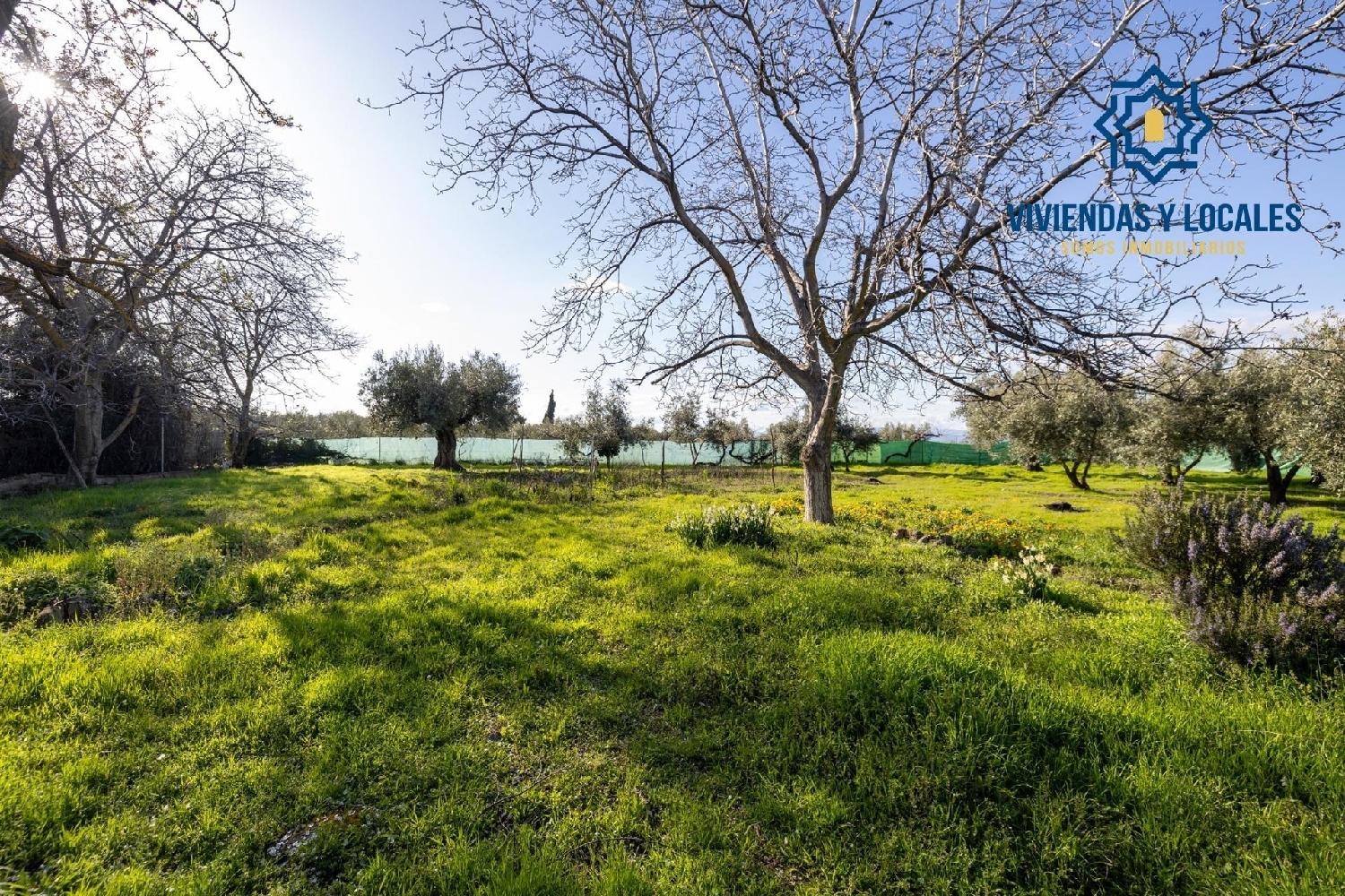  kaufen Landhaus Otura Vega De Granada 6