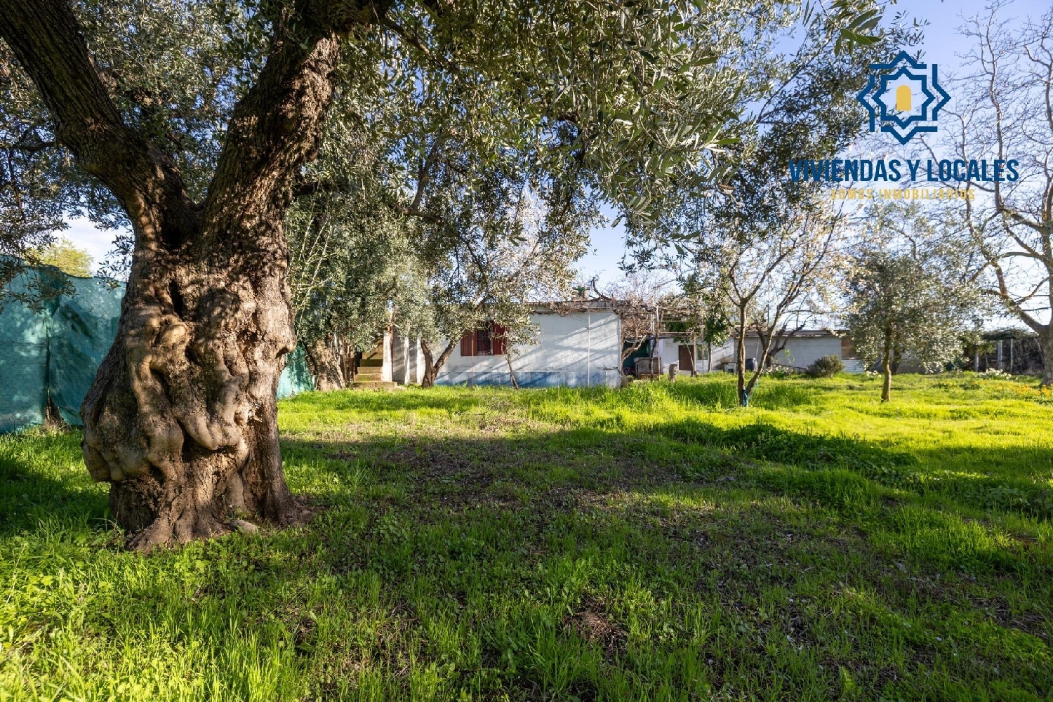  kaufen Landhaus Otura Vega De Granada 1