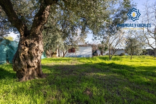 Otura Vega De Granada Landhaus Bild 6370084