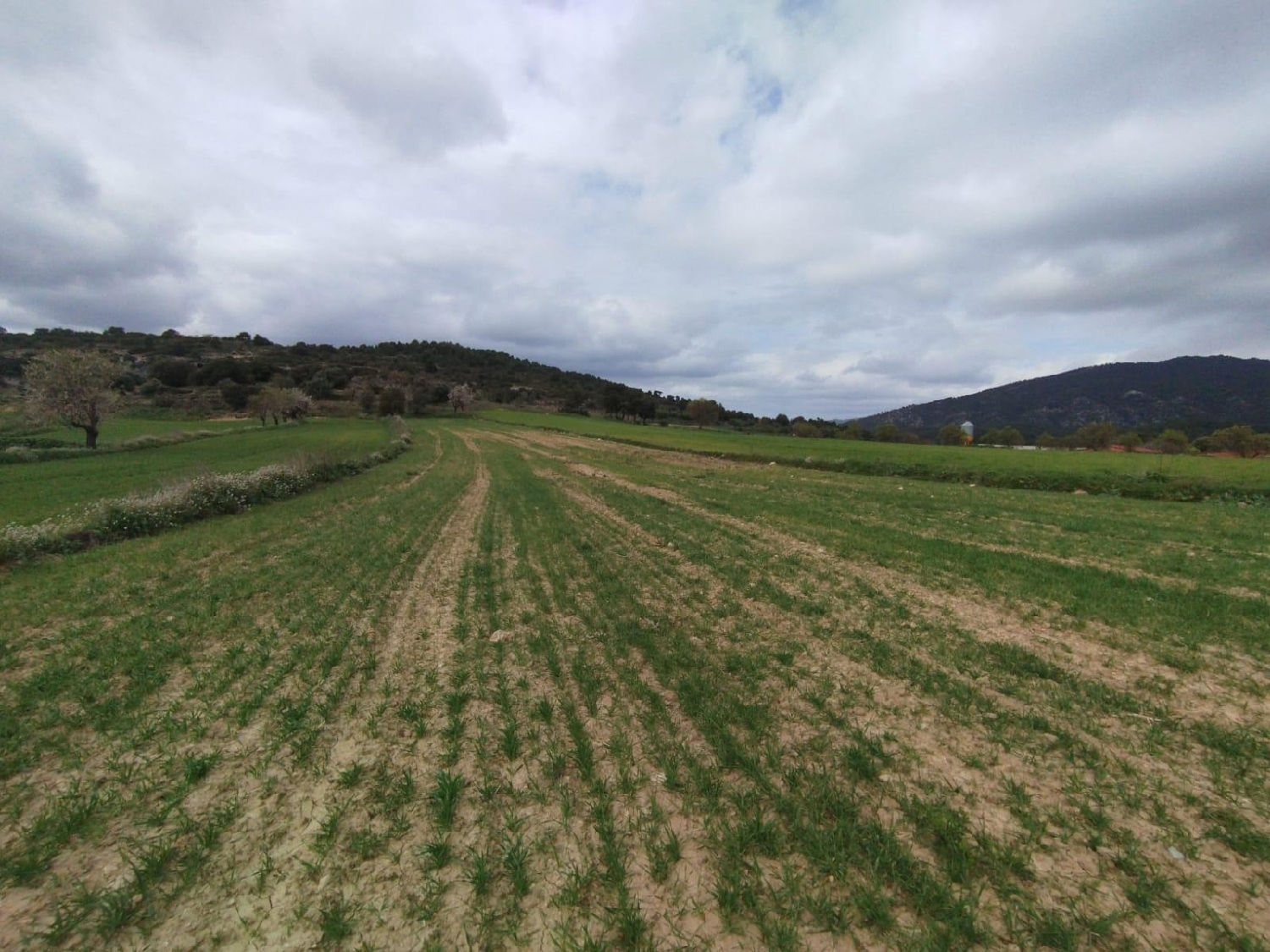  till salu hus på landet Peñarroya De Tastavins Matarraña 1