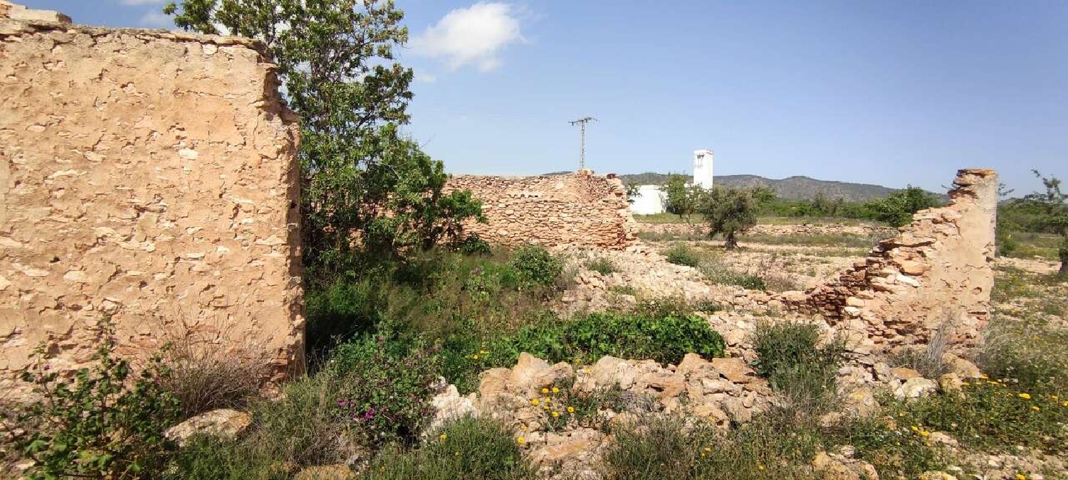  en venta finca rústica Pinoso Vinalopó Mitjà 13