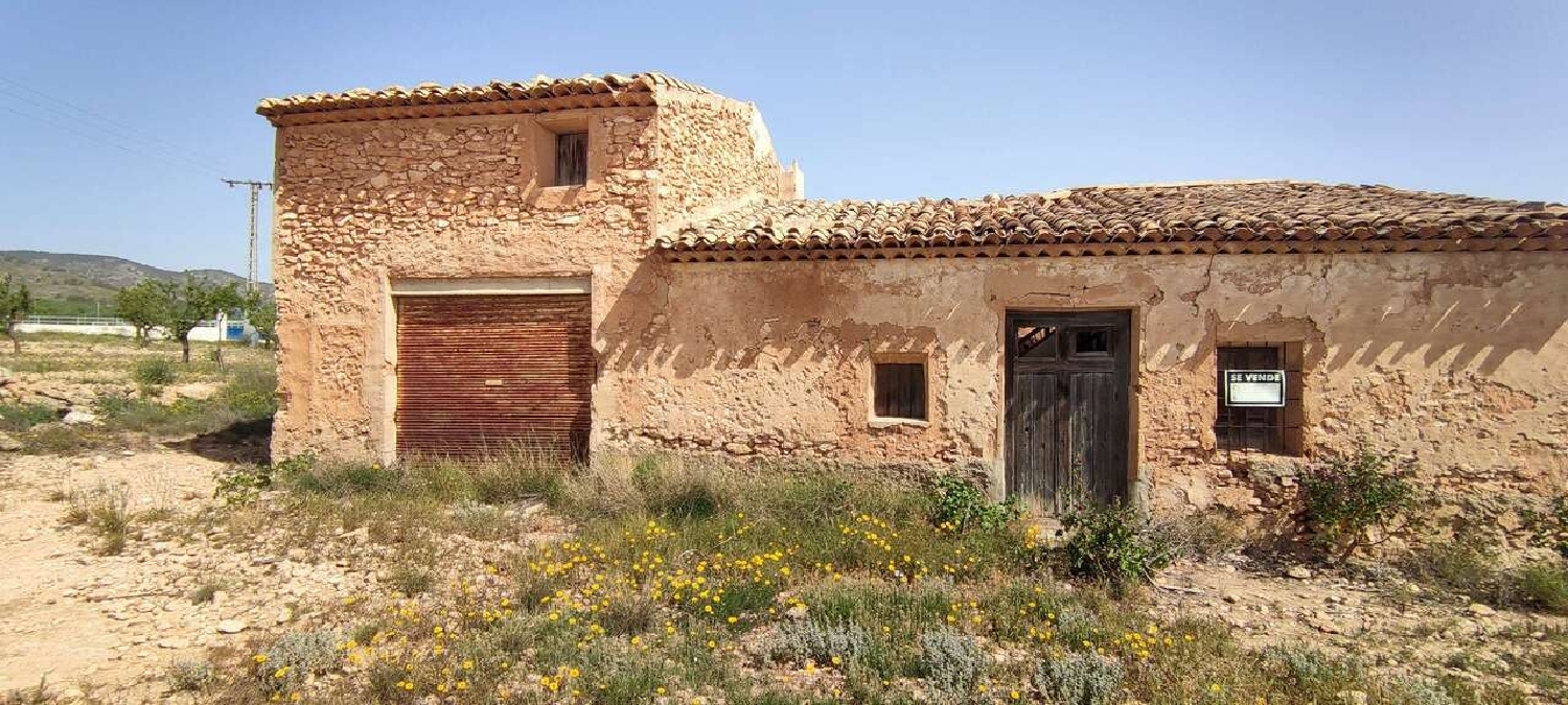  en venta finca rústica Pinoso Vinalopó Mitjà 11