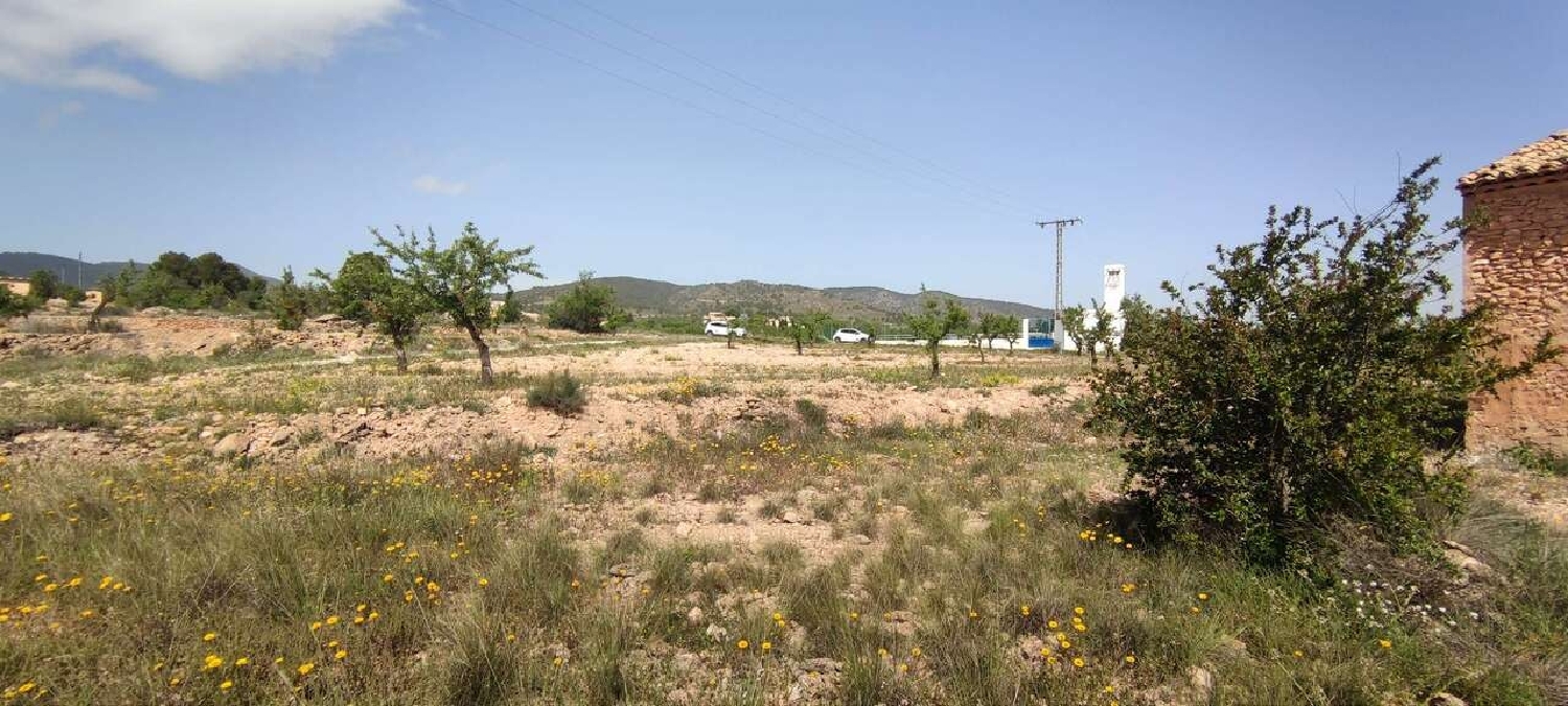  en venta finca rústica Pinoso Vinalopó Mitjà 9