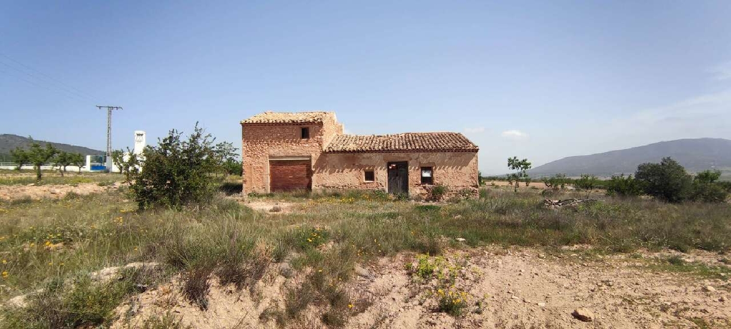  en venta finca rústica Pinoso Vinalopó Mitjà 1