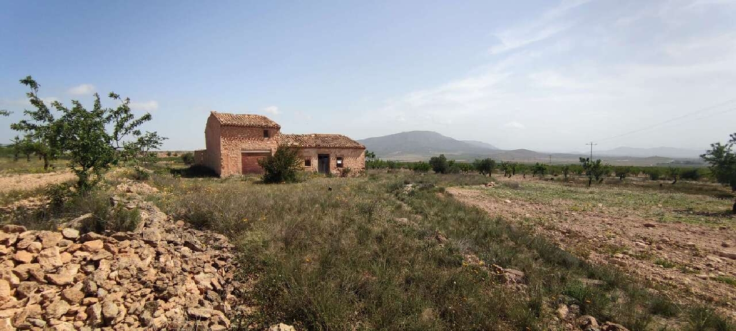  en venta finca rústica Pinoso Vinalopó Mitjà 7