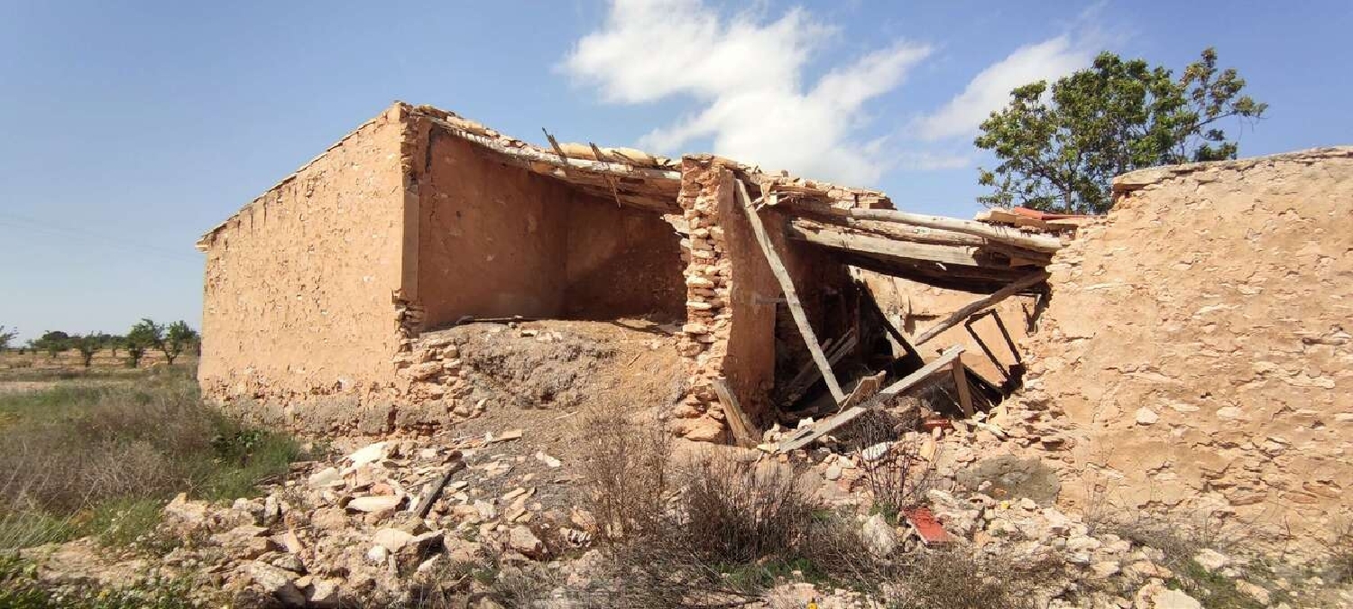  en venta finca rústica Pinoso Vinalopó Mitjà 3