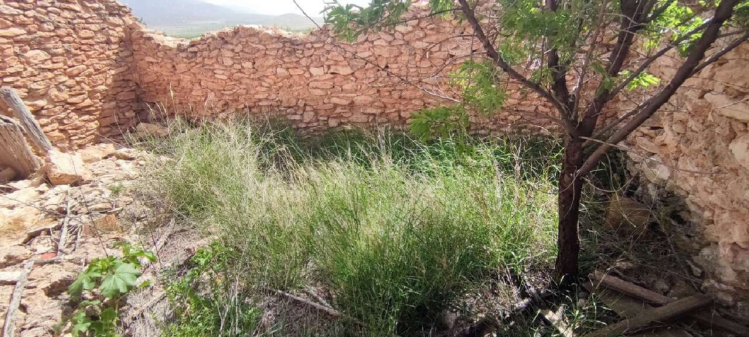  en venta finca rústica Pinoso Vinalopó Mitjà 18