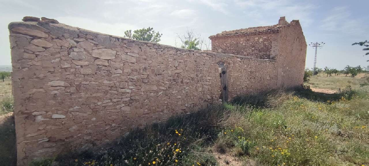  en venta finca rústica Pinoso Vinalopó Mitjà 19