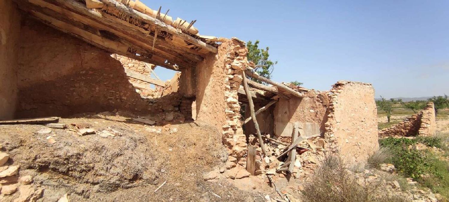  en venta finca rústica Pinoso Vinalopó Mitjà 12