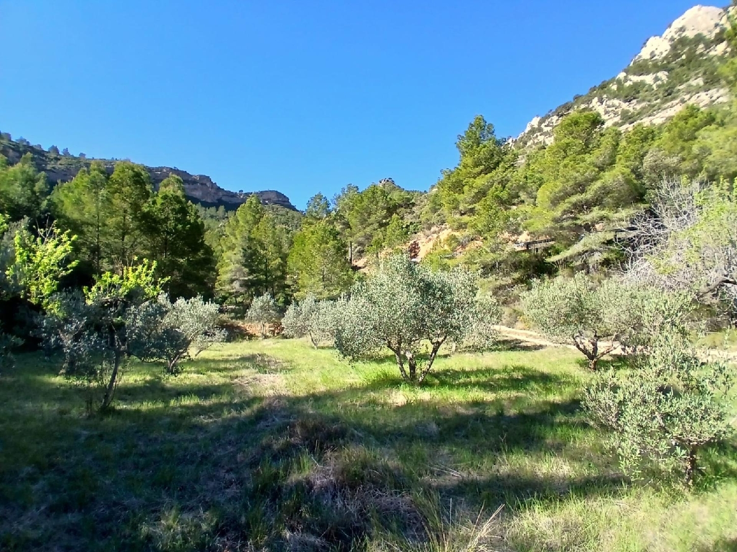 till salu hus på landet Prat De Comte Terra Alta 8