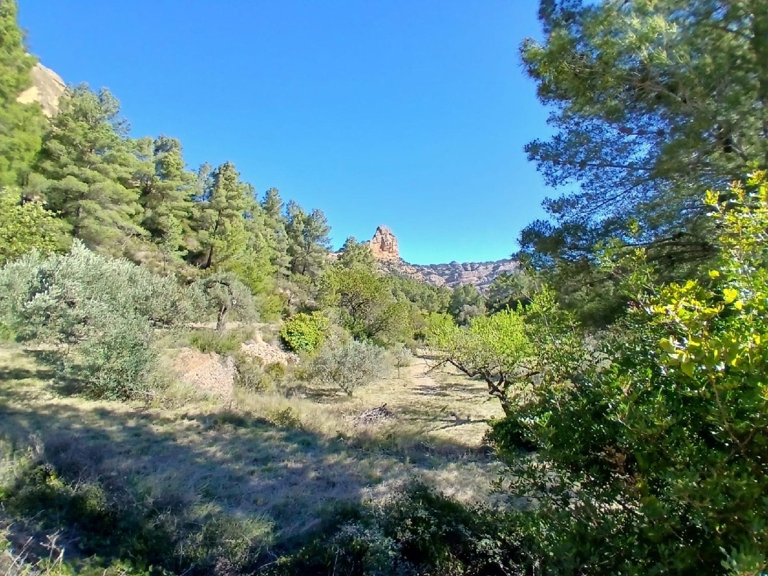  till salu hus på landet Prat De Comte Terra Alta 7