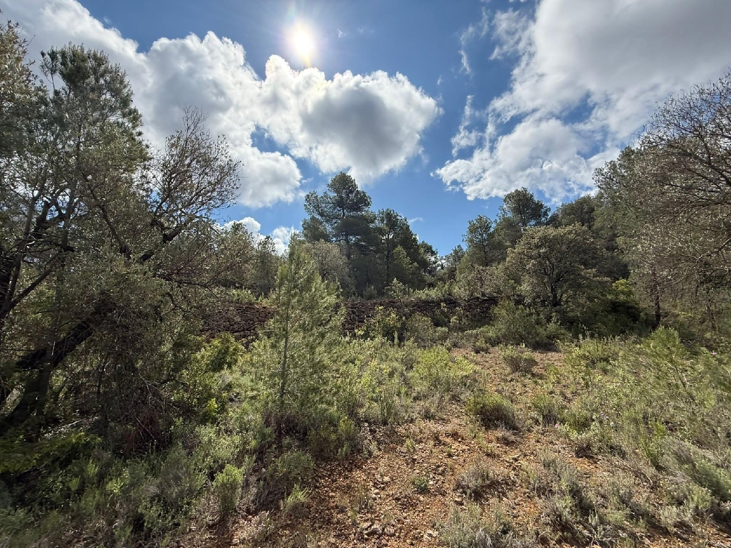  till salu hus på landet Ráfales Matarraña 5