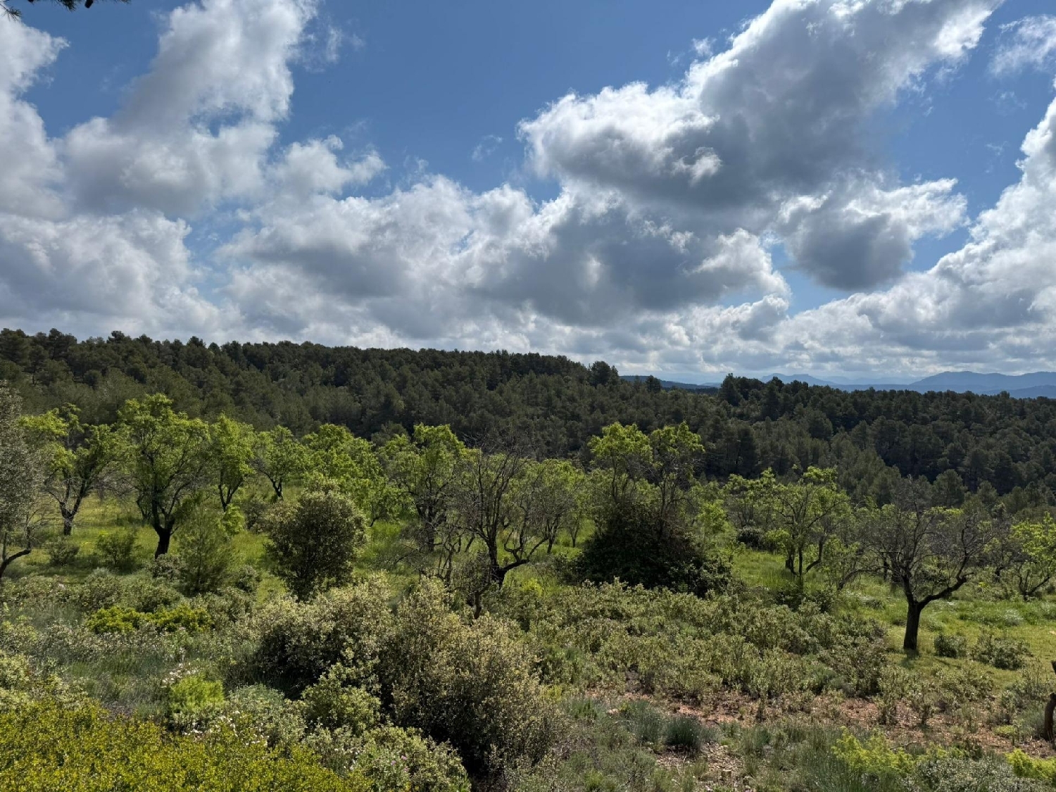  till salu hus på landet Ráfales Matarraña 4