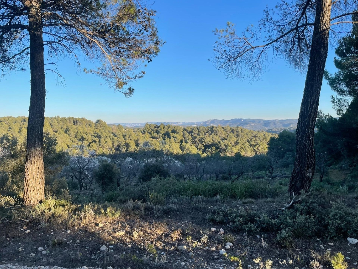  till salu hus på landet Ráfales Matarraña 7