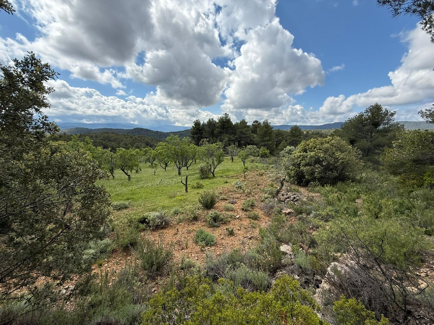  till salu hus på landet Ráfales Matarraña 2