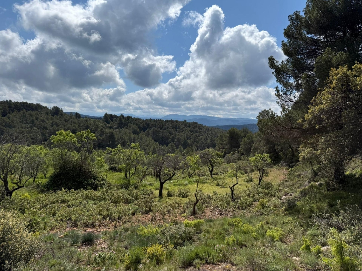  till salu hus på landet Ráfales Matarraña 3