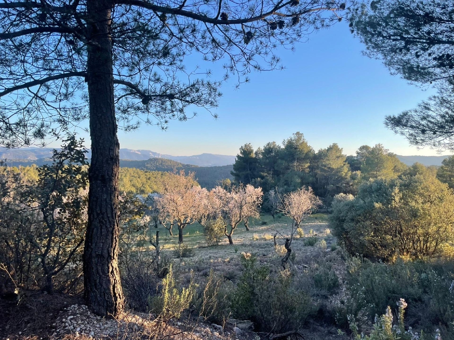  till salu hus på landet Ráfales Matarraña 6