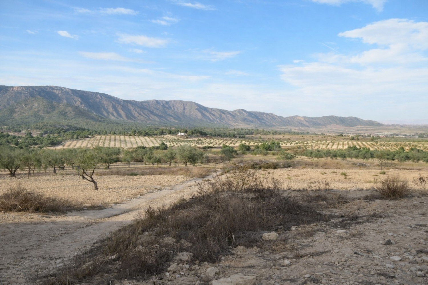  te koop boerderij Salinas Alt Vinalopó 11