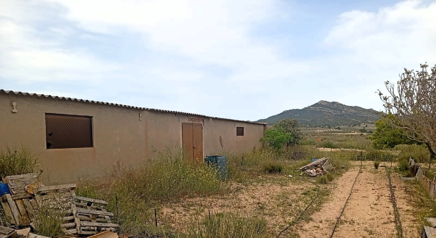  en venta finca rústica Salinas Alt Vinalopó 5