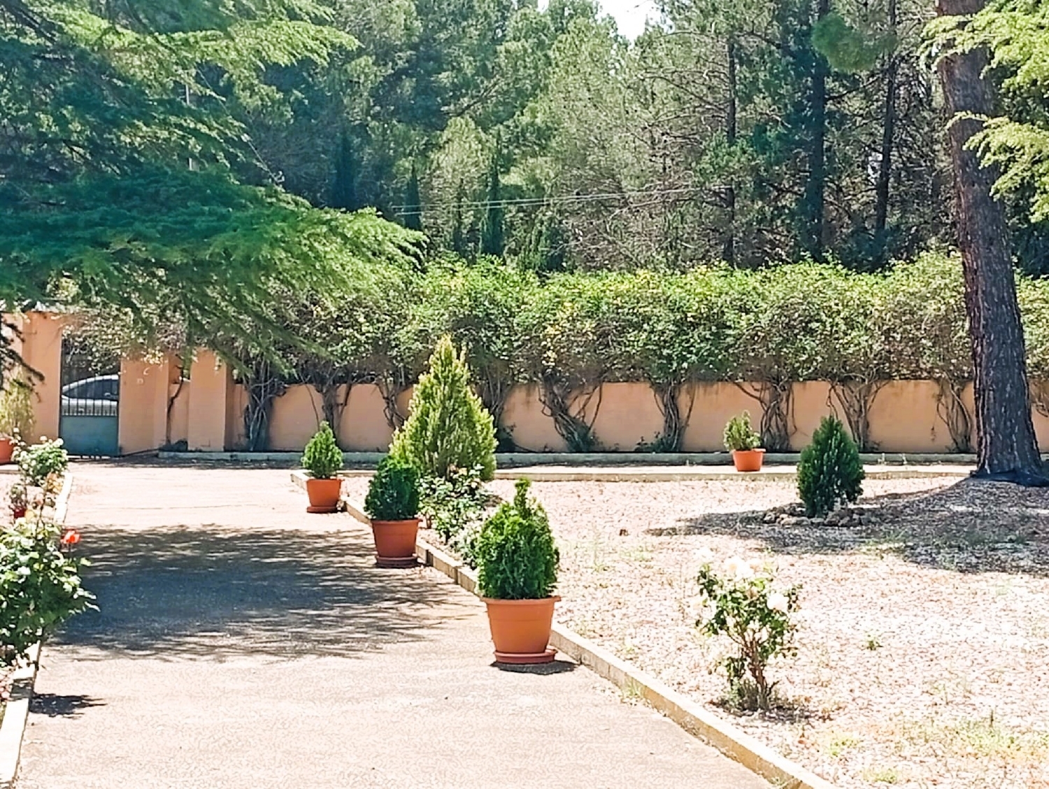  for sale country house Salinas Alt Vinalopó 4