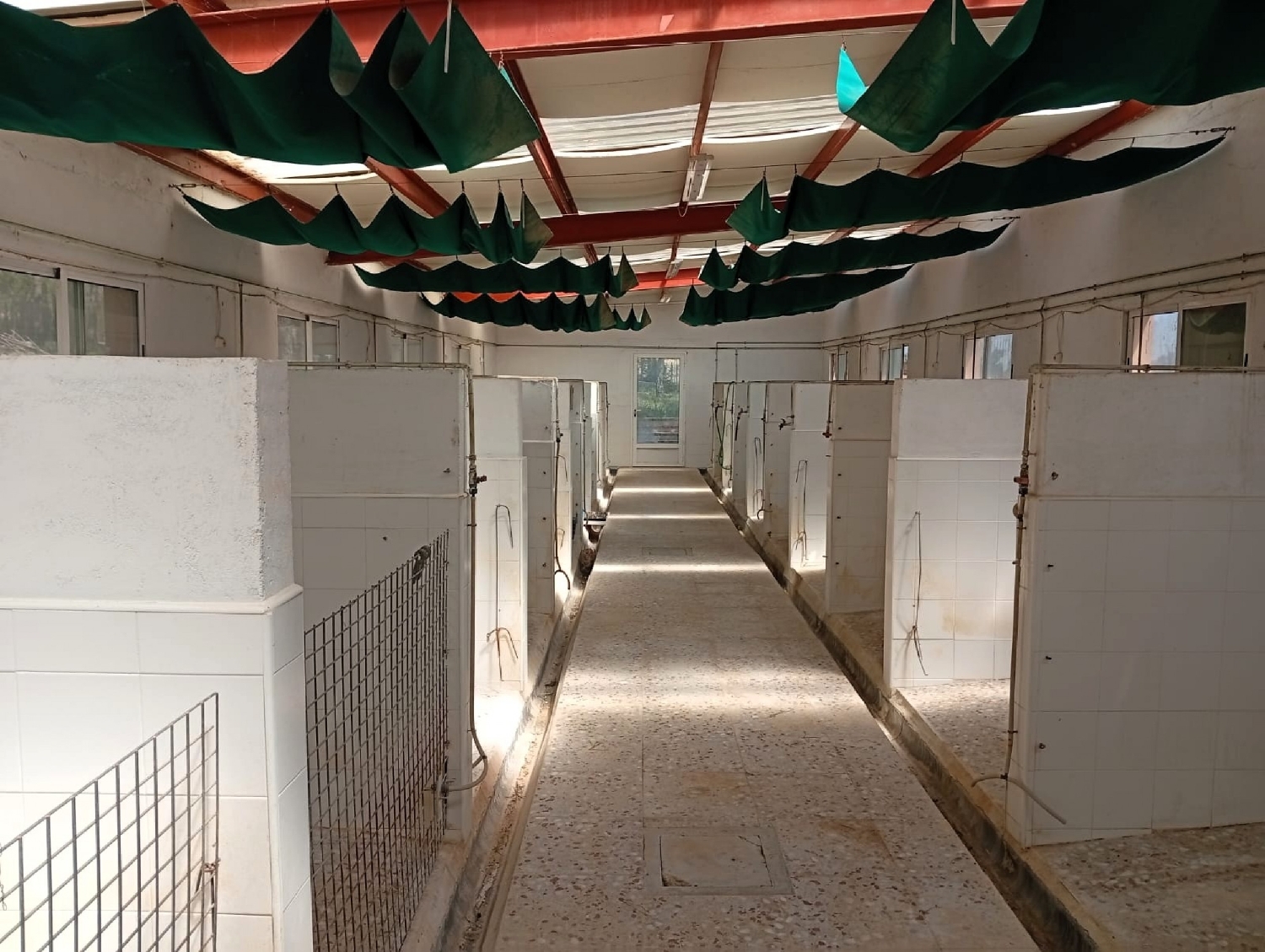  for sale country house Salinas Alt Vinalopó 6