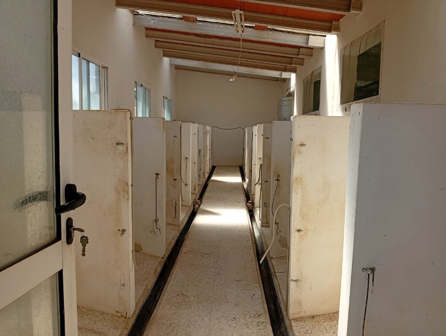  for sale country house Salinas Alt Vinalopó 25