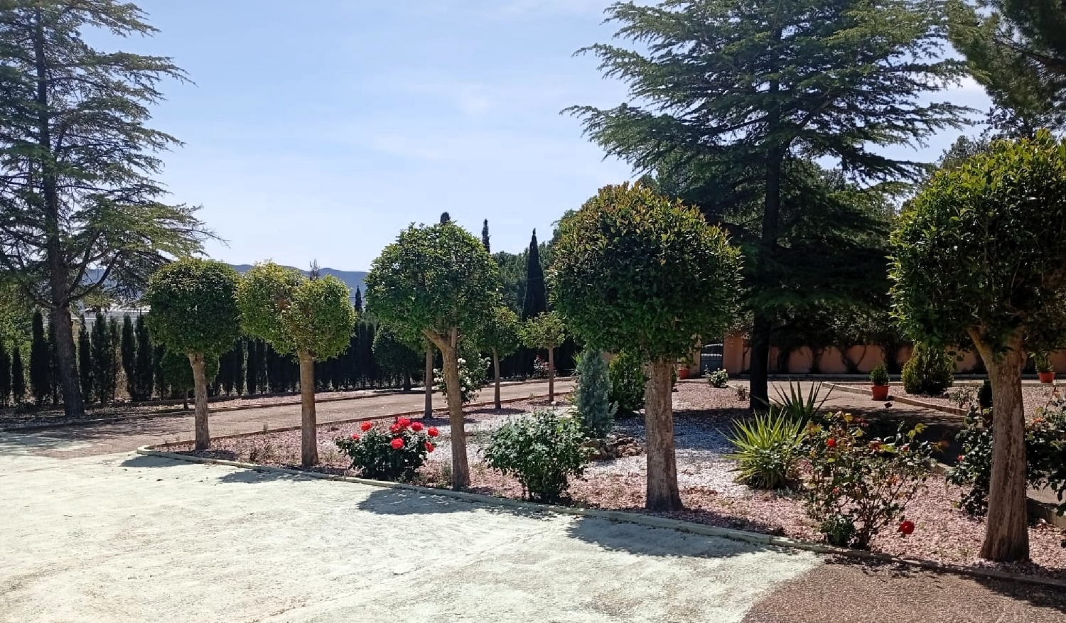  for sale country house Salinas Alt Vinalopó 9