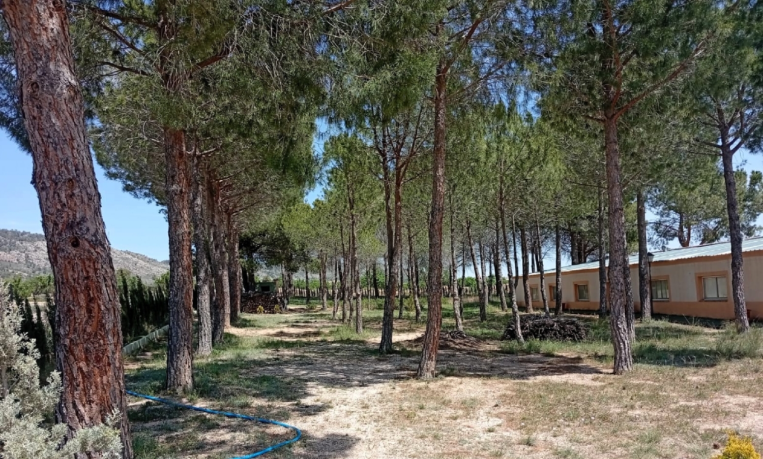  for sale country house Salinas Alt Vinalopó 27