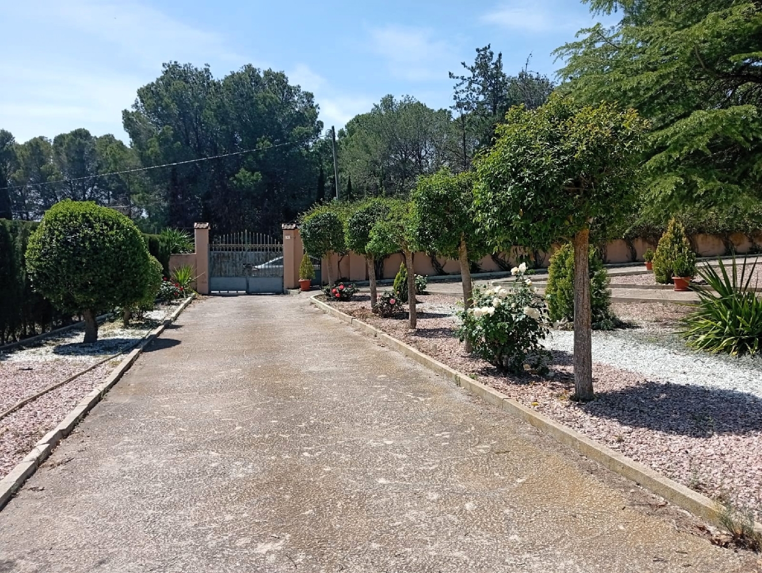  for sale country house Salinas Alt Vinalopó 31
