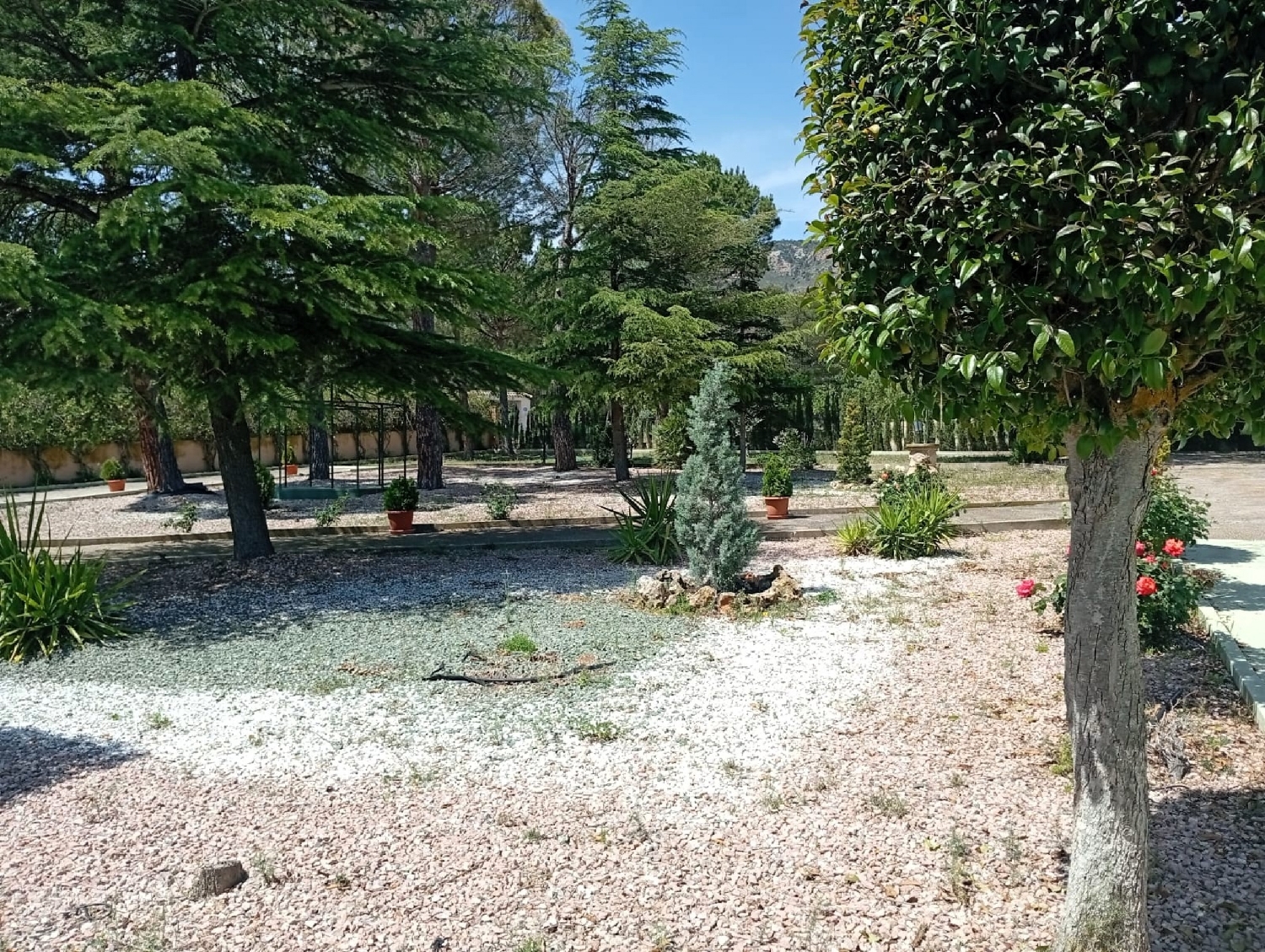  for sale country house Salinas Alt Vinalopó 30