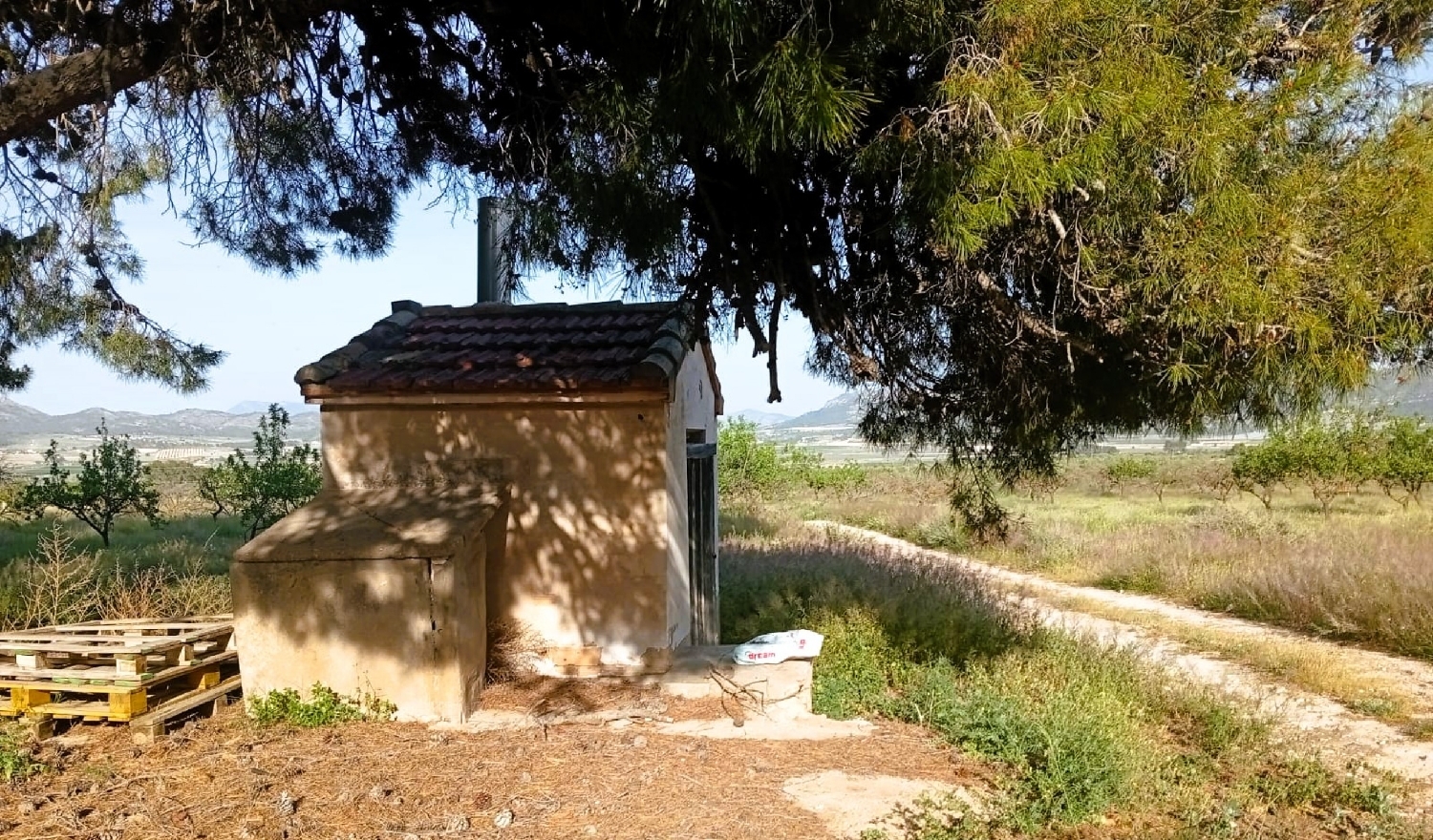  for sale country house Salinas Alt Vinalopó 3