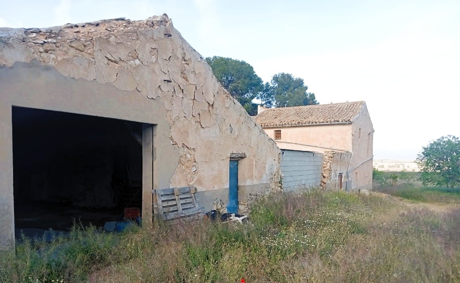  for sale country house Salinas Alt Vinalopó 28