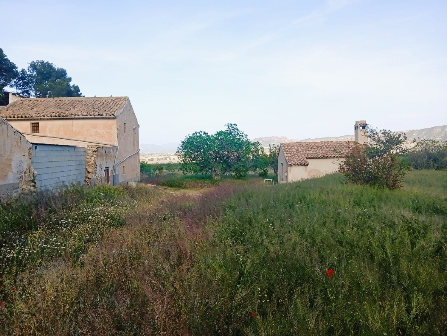  for sale country house Salinas Alt Vinalopó 27